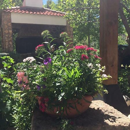 Casas Rurales La Huerta Ξενοδοχείο Salobre  Εξωτερικό φωτογραφία