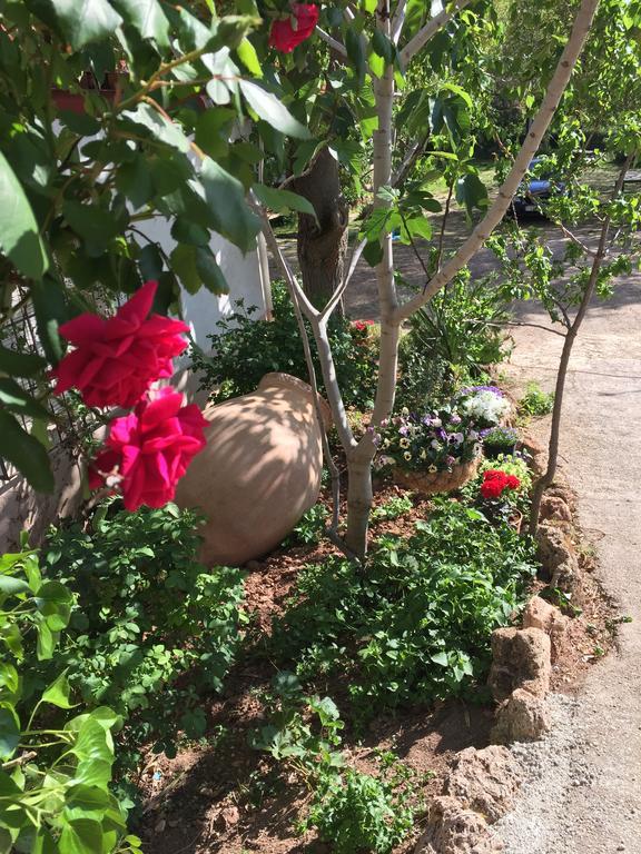 Casas Rurales La Huerta Ξενοδοχείο Salobre  Εξωτερικό φωτογραφία