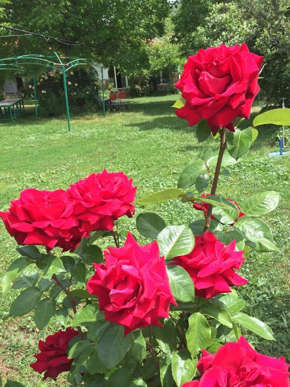Casas Rurales La Huerta Ξενοδοχείο Salobre  Εξωτερικό φωτογραφία
