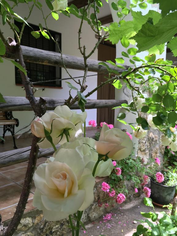 Casas Rurales La Huerta Ξενοδοχείο Salobre  Εξωτερικό φωτογραφία