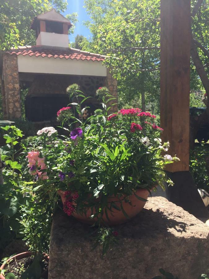 Casas Rurales La Huerta Ξενοδοχείο Salobre  Εξωτερικό φωτογραφία